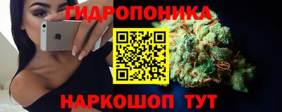 молекула духа Пенза