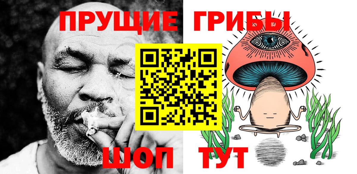 Псилоцибиновые грибы Psilocybe  Вход с VPN  Биробиджан 