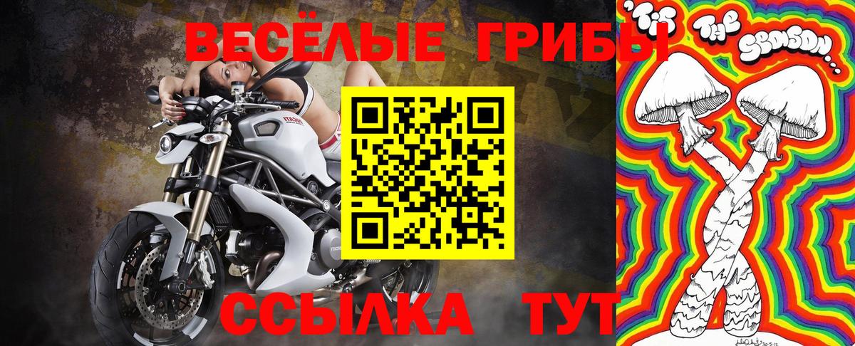Псилоцибиновые грибы Psilocybe Биробиджан